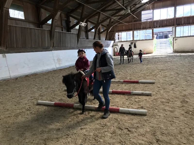 View of Pferdepark Elsbethen in Elsbethen, Salzburg