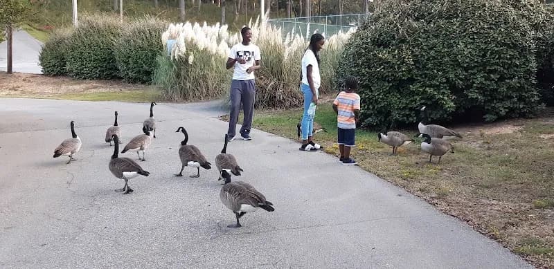View of Phenix City Parks and Recreation in Phenix City, AL