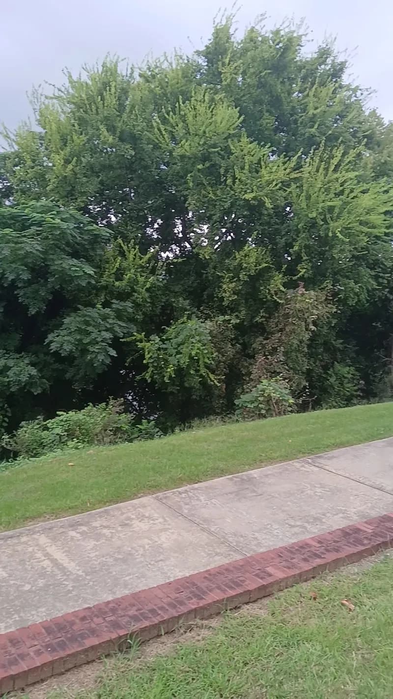 View of Phenix City Russell County Library in Phenix City, AL