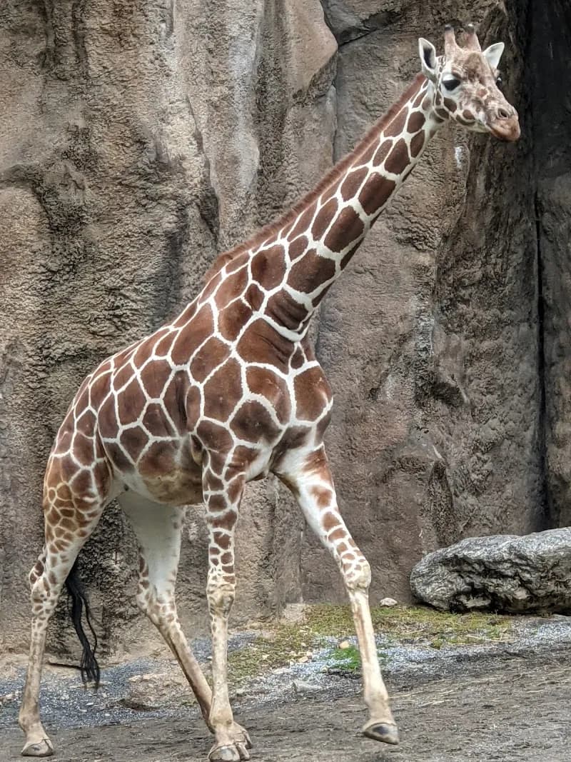 View of Philadelphia Zoo in Philadelphia, PA