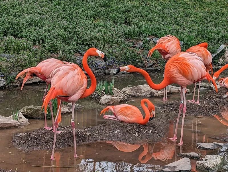 View of Philadelphia Zoo in Philadelphia, PA