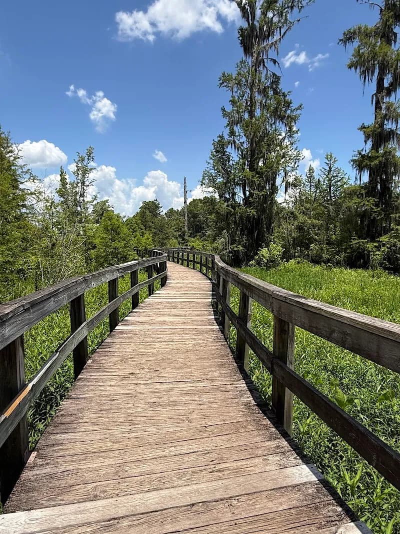 View of Phinizy Swamp Nature Park in Augusta, GA
