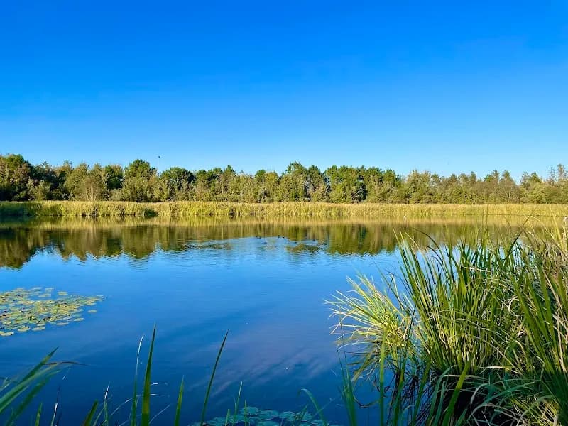 View of Phinizy Swamp Nature Park in Augusta, GA