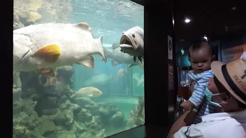 View of Phuket Aquarium in Phuket, PKT