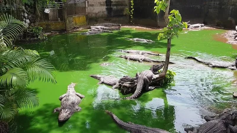 View of Phuket Zoo in Phuket, PKT