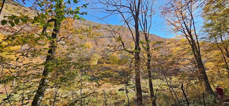 Picnic Area at Lake Mansfield park in Stowe, VT
