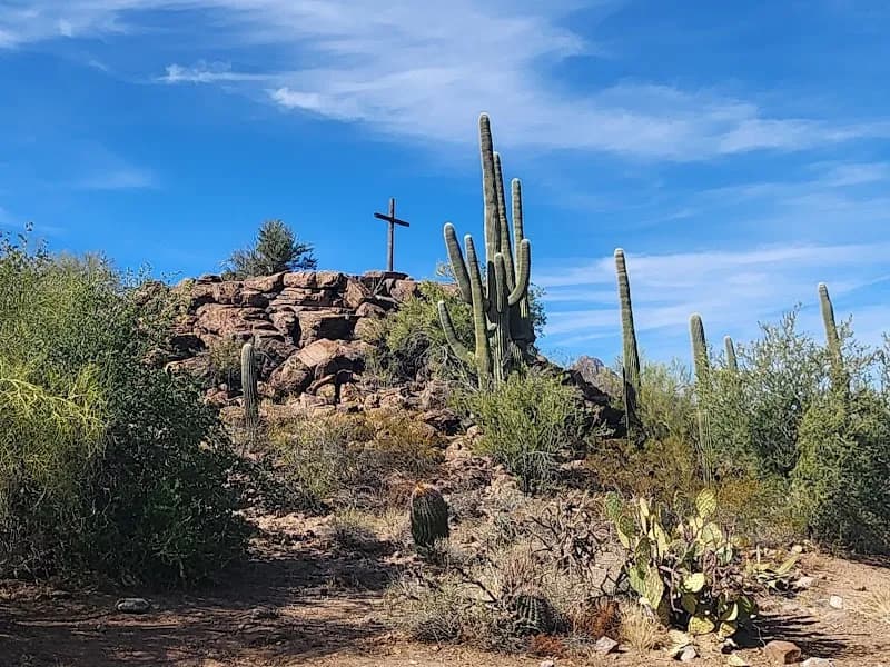 View of Picture Rock Petroglyphs in Picture Rocks, AZ