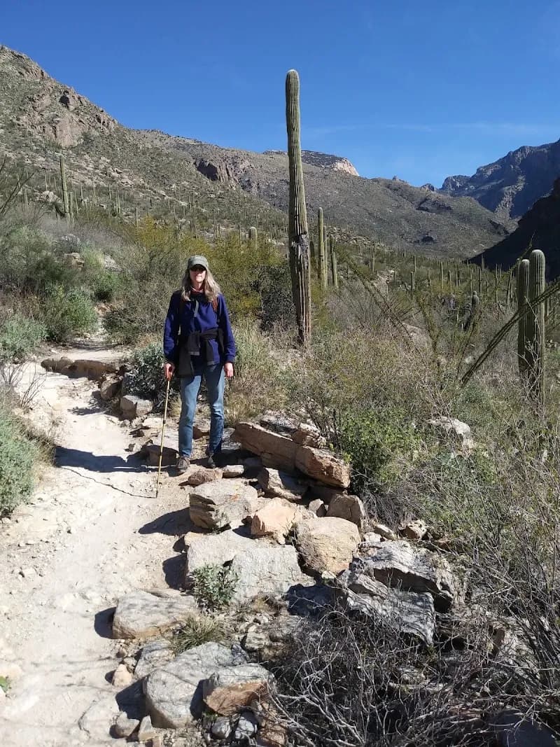 Pima Canyon Trail route in Catalina Foothills, AZ