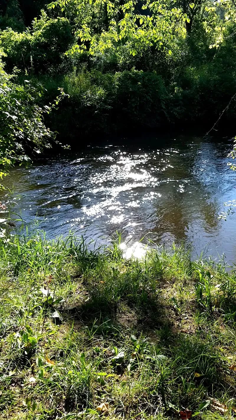View of Pine River in Mesick, MI