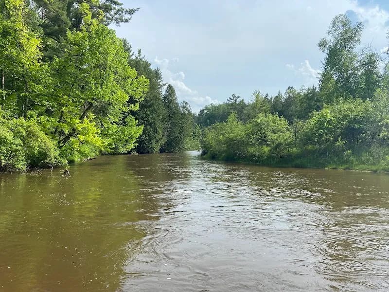 View of Pine River in Mesick, MI