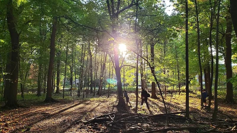 View of Pine Woods Park in Lockport, NY