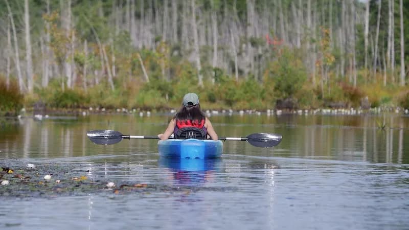 Pinelands Adventures tour agency in Atlantic City, NJ