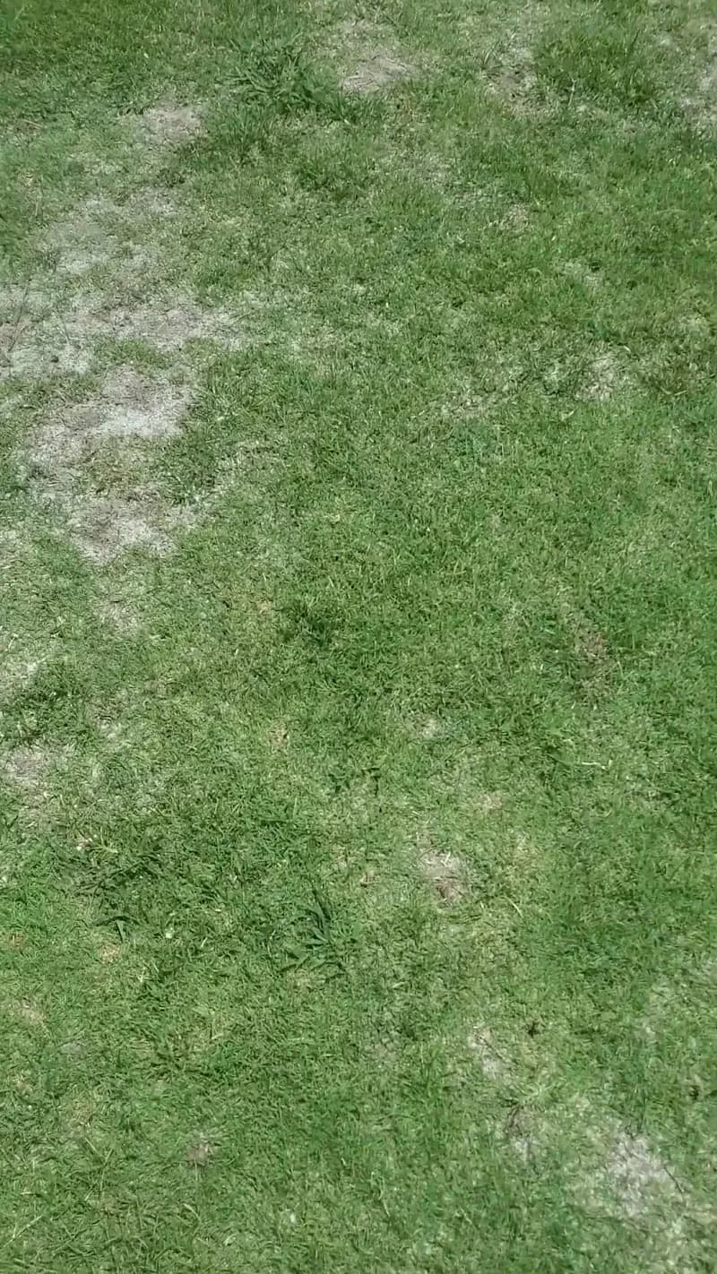 View of Pines Crossing Golf Course in Auburn, AL