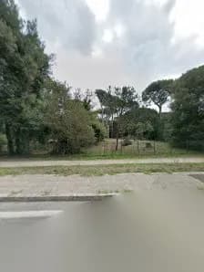 View of Pineta Monumentale di Fregene - Parco Federico Fellini in Fregene, Lazio