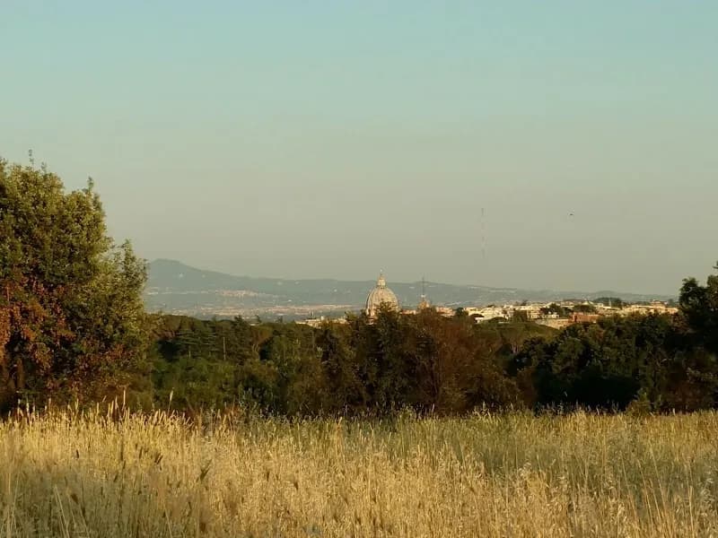 View of Pineto Regional Park in Rome, LZ