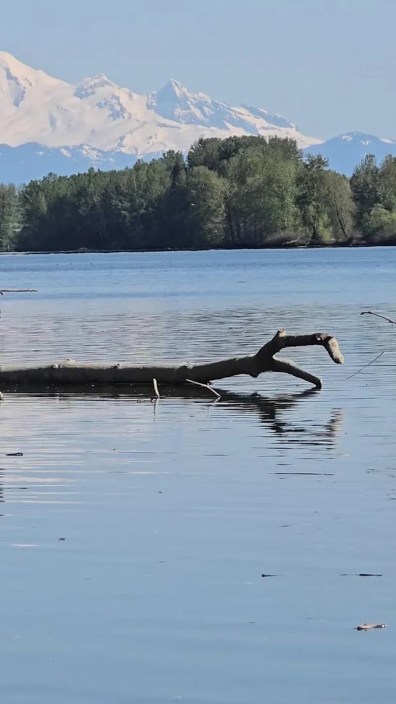 View of Pitt River Regional Greenway in Pitt Meadows, BC
