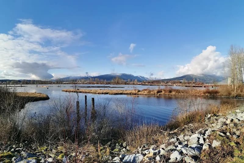 View of Pitt River Regional Greenway in Pitt Meadows, BC