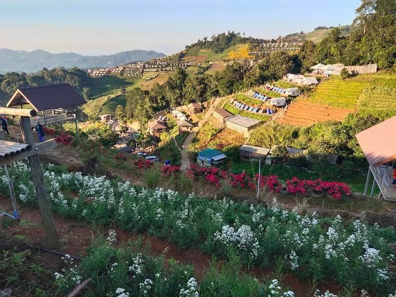 View of Plai Fa Strawberry Farm in Mae Rim, CM