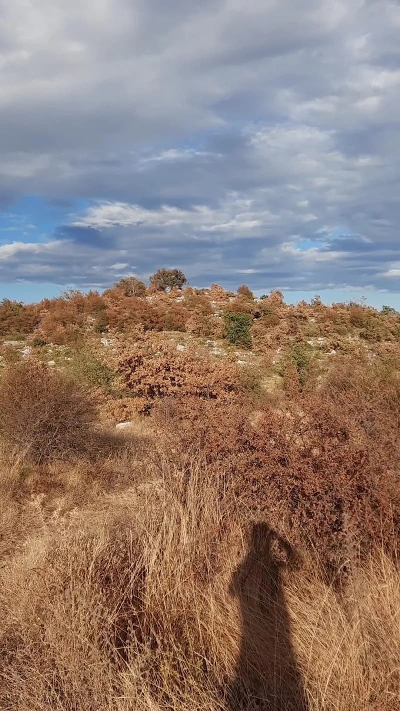 View of Plan des noves in Saint-Paul-de-Vence, PACA