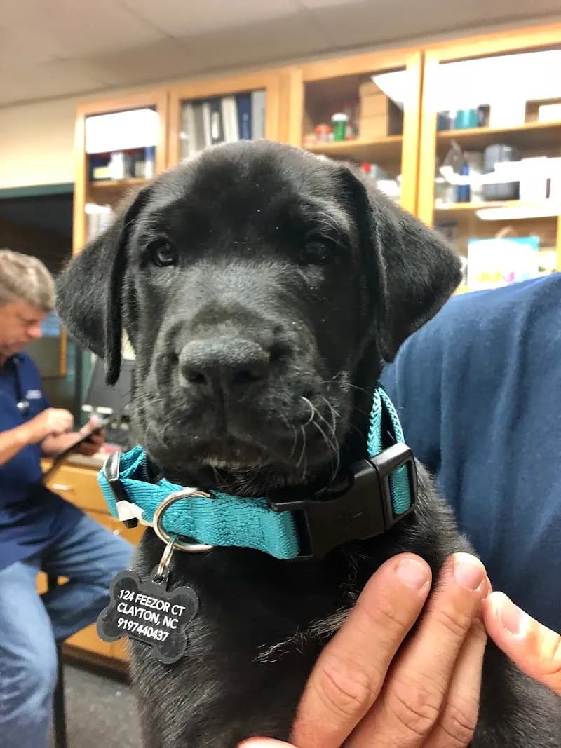 View of Plantation Park Animal Hospital in Clayton, NC