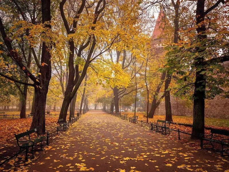 View of Planty in Krakow, MP