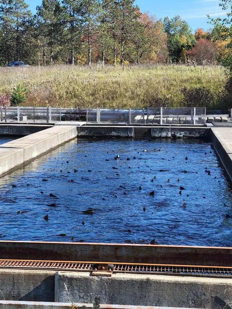 Platte River State Fish Hatchery ranch in Beulah, MI