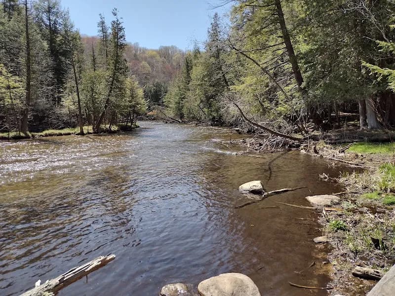 View of Platte River State Forest Campground in Beulah, MI