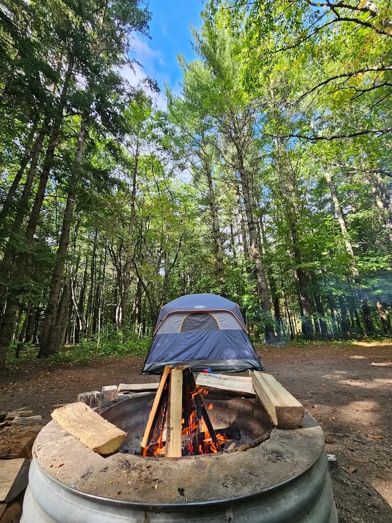 View of Platte River State Forest Campground in Beulah, MI