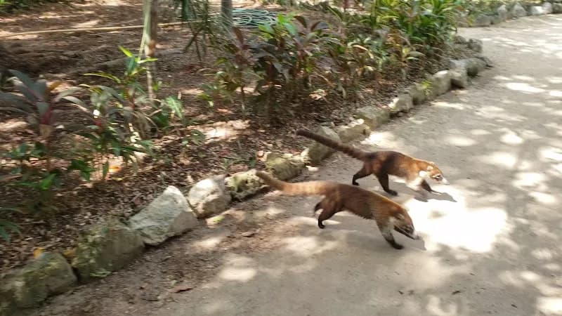 View of Playground at Laguna Nichupte in Cancun, QR
