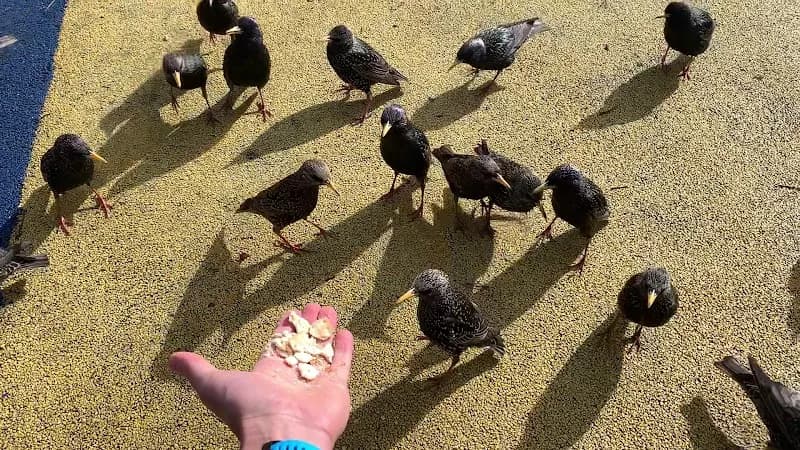 View of Playground The Metals Shipwreck in Dun Laoghaire, D