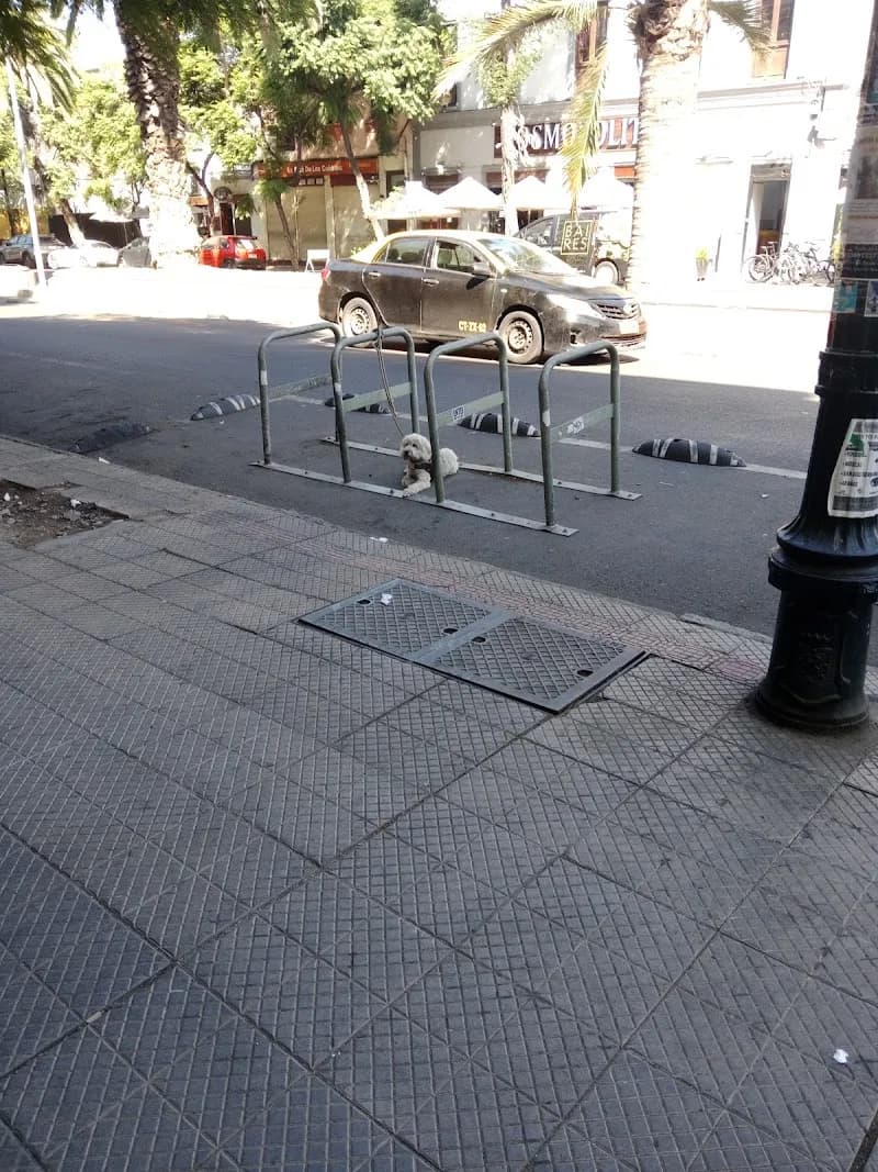 View of Plaza Brasil in Santiago, RM