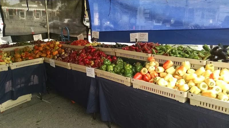 View of Pleasanton Farmers' Market in Sunol, CA