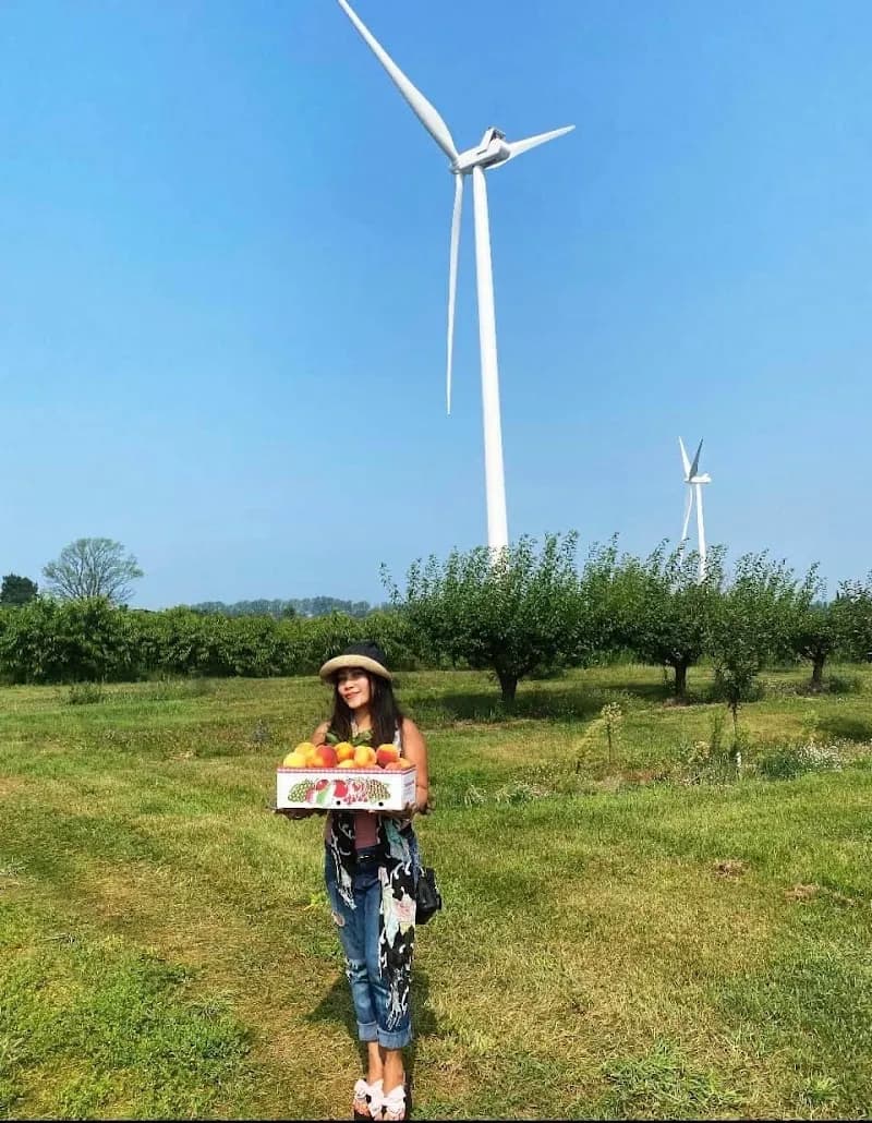 PM Family Farms farm in Ludington, MI