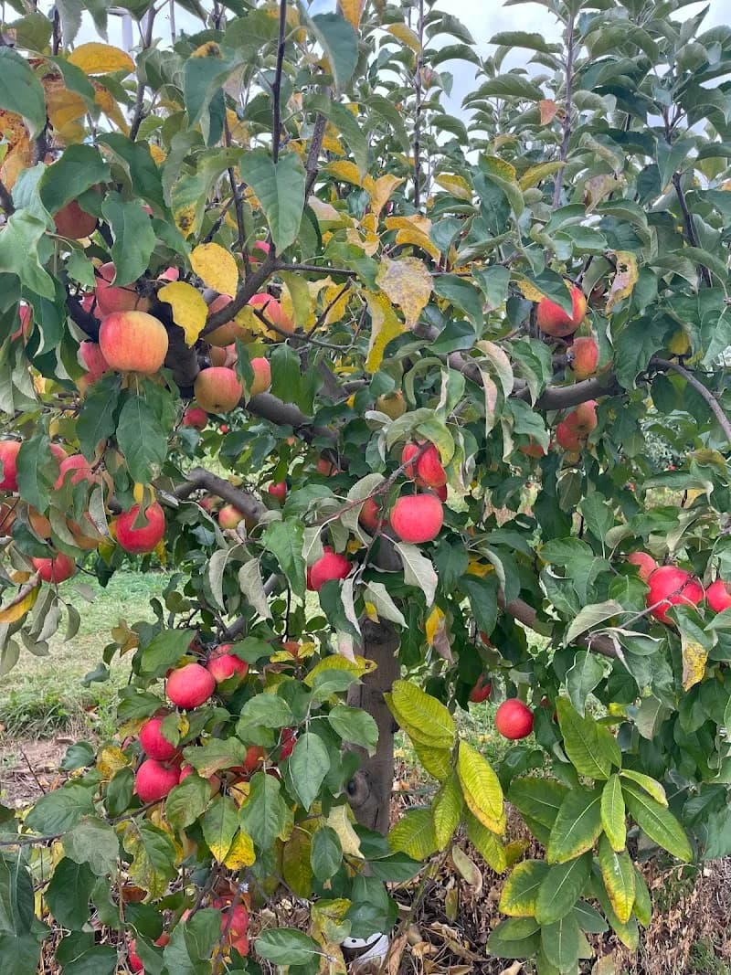 View of PM Family Farms in Ludington, MI
