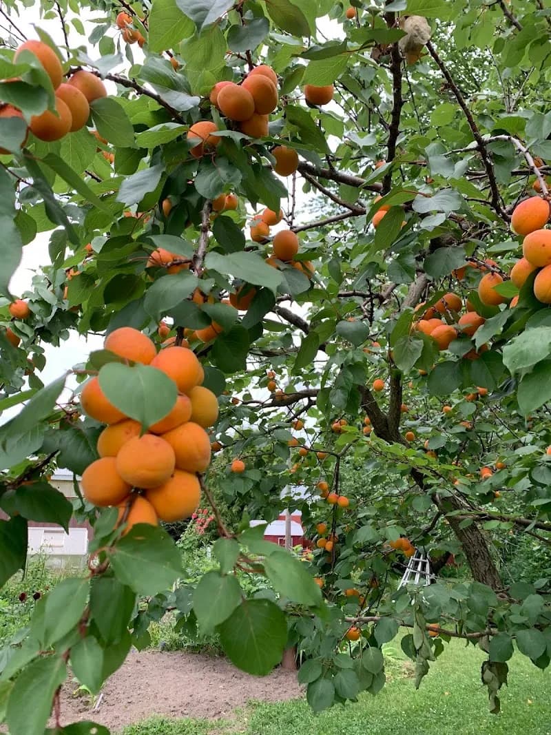 View of PM Family Farms in Ludington, MI