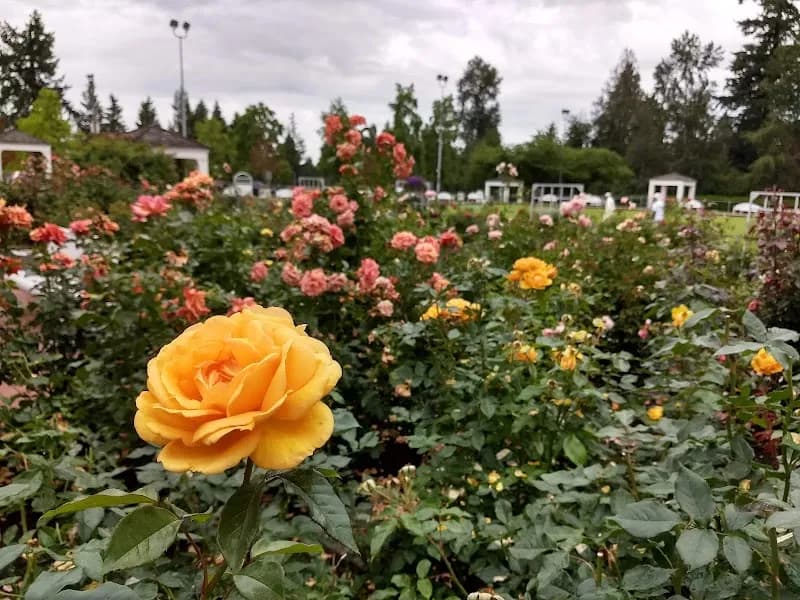 Poirier Community Centre community center in Coquitlam, BC