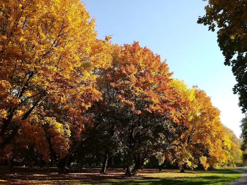 Pole Mokotowskie park in Warsaw, MZ