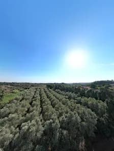 View of Poleg Nature Reserve in Kfar Saba, TA