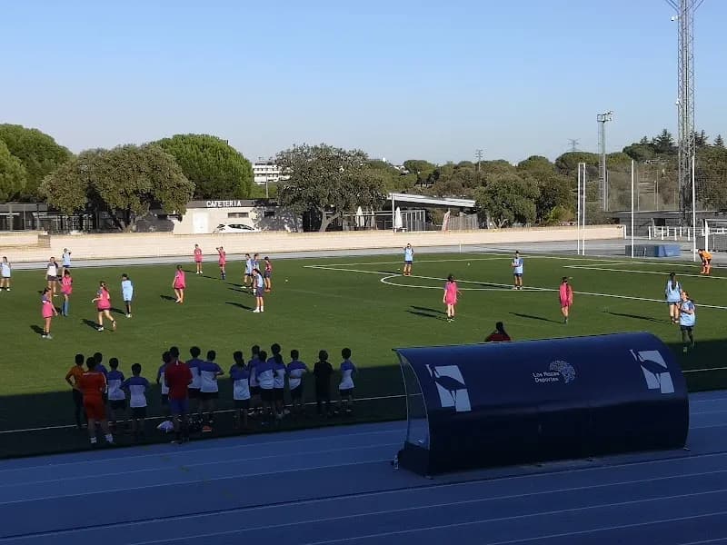 View of Polideportivo Dehesa de Navalcarbón in Las Rozas de Madrid, Madrid