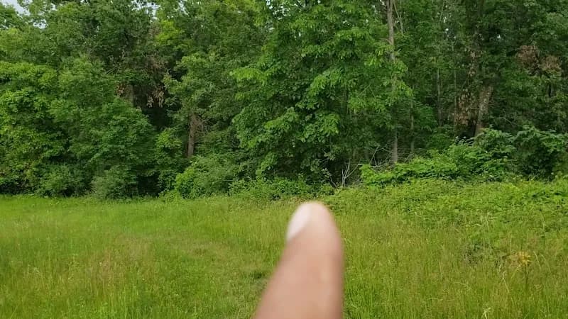 View of Pontiac Lake Recreation Area in Auburn Hills, MI