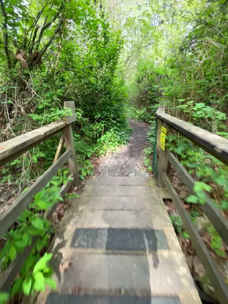 View of Port Moody Ecological Society (Noons Creek Hatchery) in Port Moody, BC