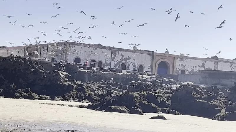 View of Port of Essaouira Sqala in Essaouira, MS