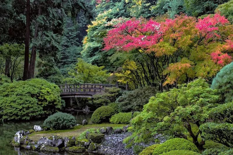 View of Portland Japanese Garden in Portland, OR