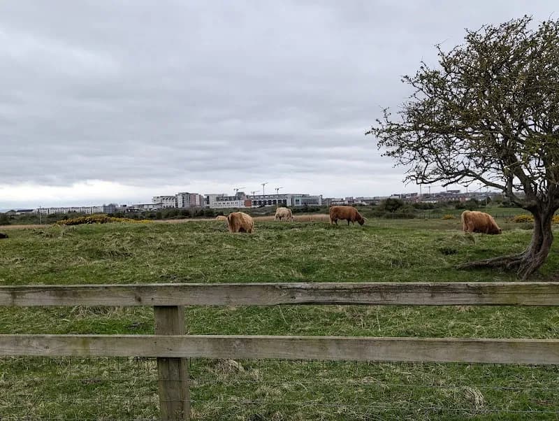 View of Portmarnock Coastal Trail in Portmarnock, D