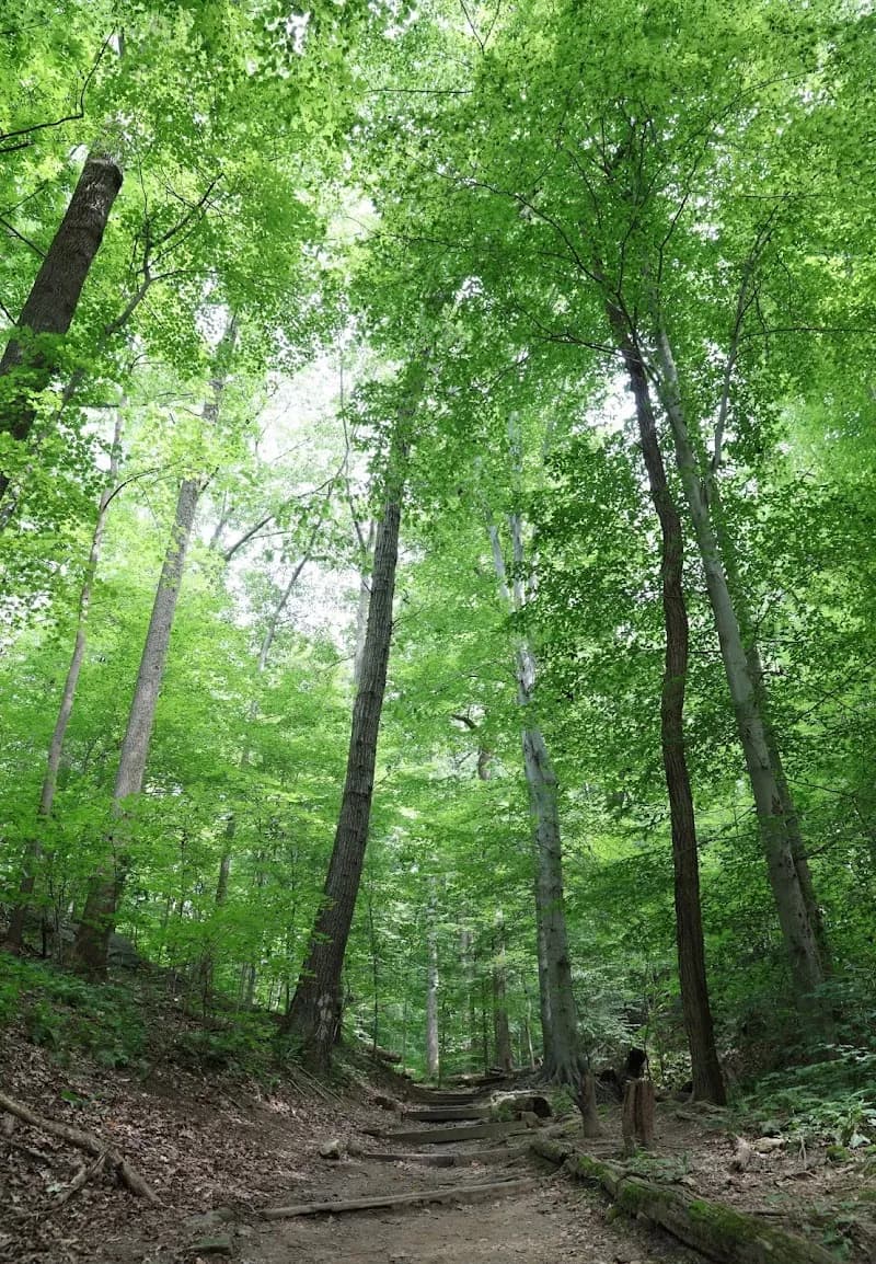 Potomac Overlook Regional Park park in Potomac, MD