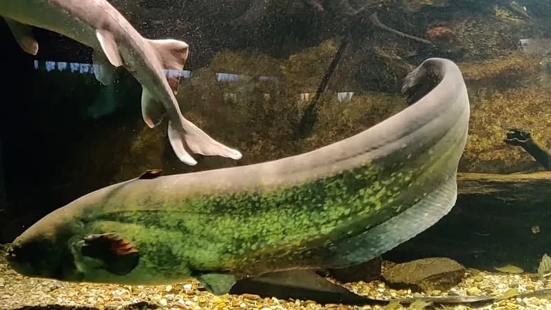 View of Potsdam Museum für Naturkunde in Potsdam, BB