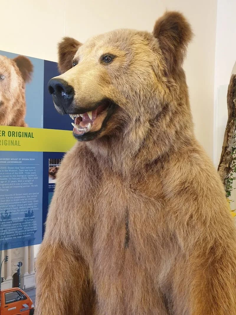 View of Potsdam Museum für Naturkunde in Potsdam, BB