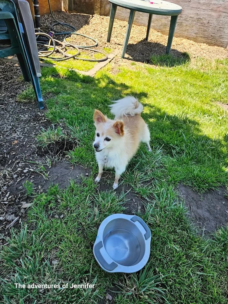 View of Potso Dog Park in Tigard, OR