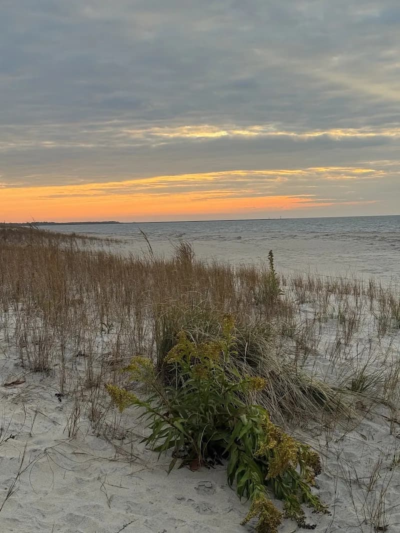 Poverty Beach natural feature in Cape May, NJ