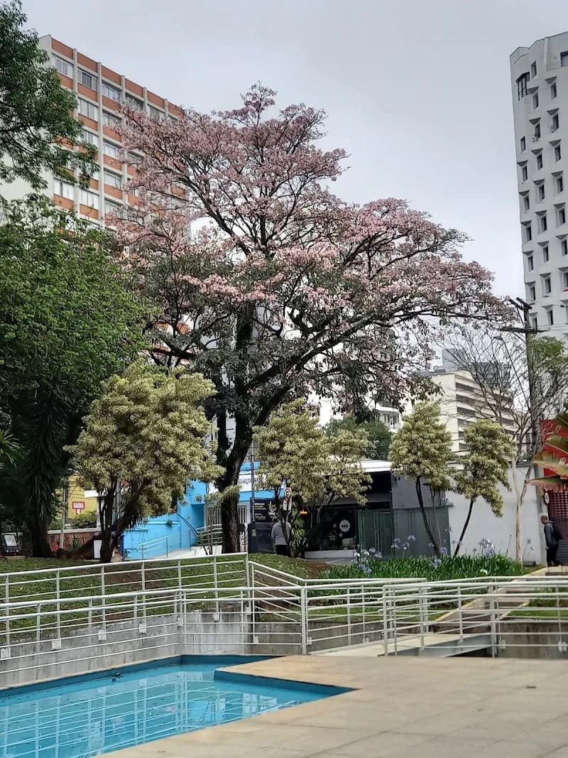 Praça São Caetano Di Thiene plaza in São Caetano do Sul, SP